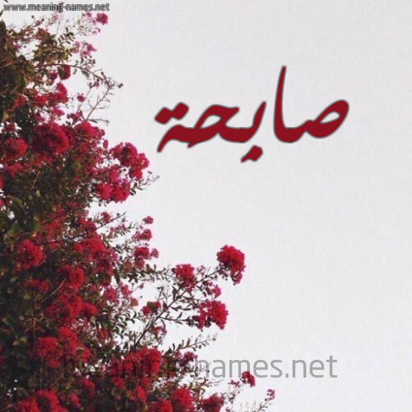 شكل 18 صوره الورد الأحمر للإسم بخط رقعة صورة اسم صابِحَة SABEHAH