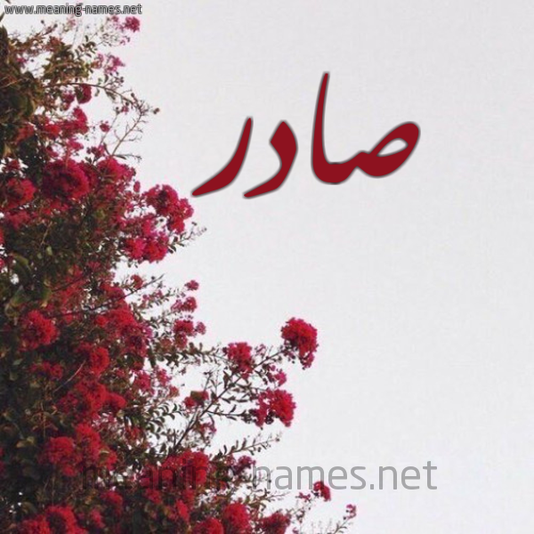 شكل 18 صوره الورد الأحمر للإسم بخط رقعة صورة اسم صادر Sadr