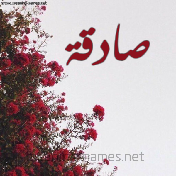 شكل 18 صوره الورد الأحمر للإسم بخط رقعة صورة اسم صادقة Sadqh