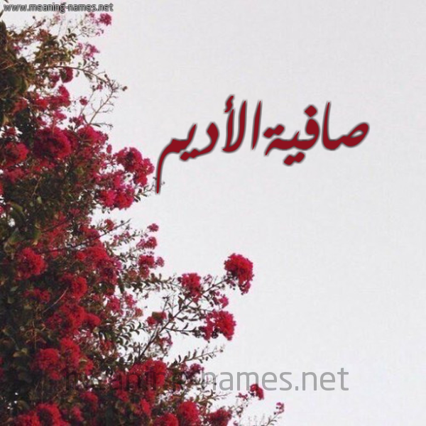 شكل 18 صوره الورد الأحمر للإسم بخط رقعة صورة اسم صافيةالأديم Safyhal'adym
