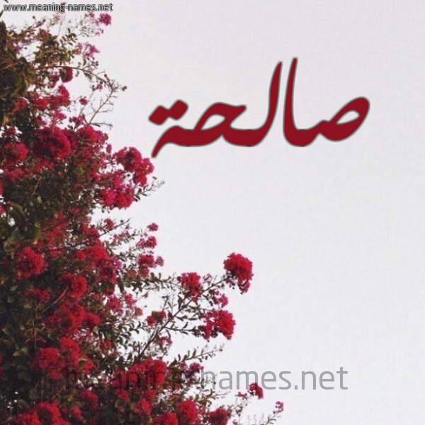 شكل 18 صوره الورد الأحمر للإسم بخط رقعة صورة اسم صالحة Salha