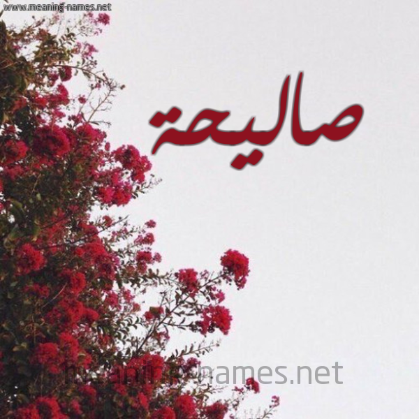 شكل 18 صوره الورد الأحمر للإسم بخط رقعة صورة اسم صاليحة Saleha