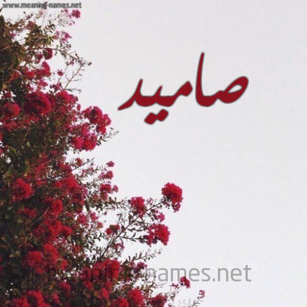 شكل 18 صوره الورد الأحمر للإسم بخط رقعة صورة اسم صاميد Samed