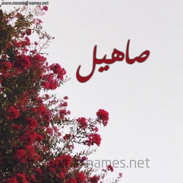 شكل 18 صوره الورد الأحمر للإسم بخط رقعة صورة اسم صاهيل Sahel