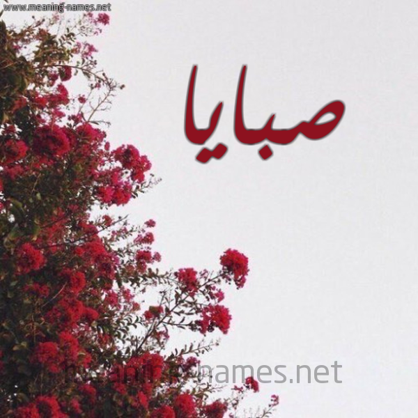 شكل 18 صوره الورد الأحمر للإسم بخط رقعة صورة اسم صبايا Sbaya