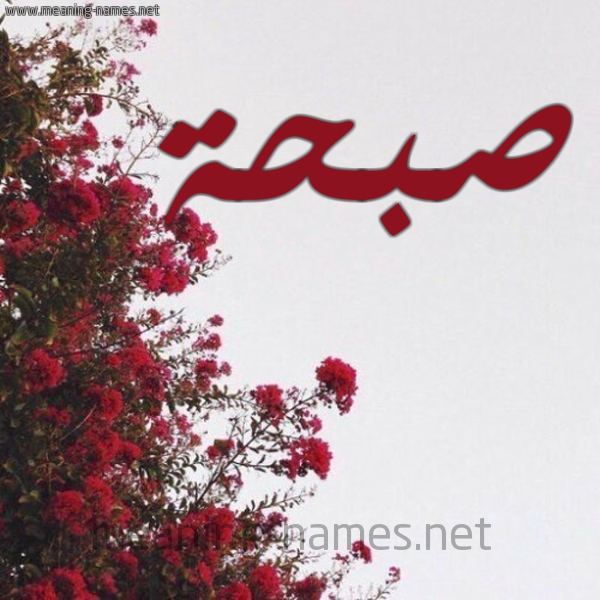 شكل 18 صوره الورد الأحمر للإسم بخط رقعة صورة اسم صبحة Sab7a
