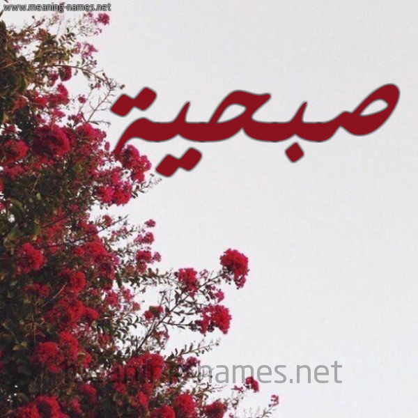 شكل 18 صوره الورد الأحمر للإسم بخط رقعة صورة اسم صبحية Sobhia