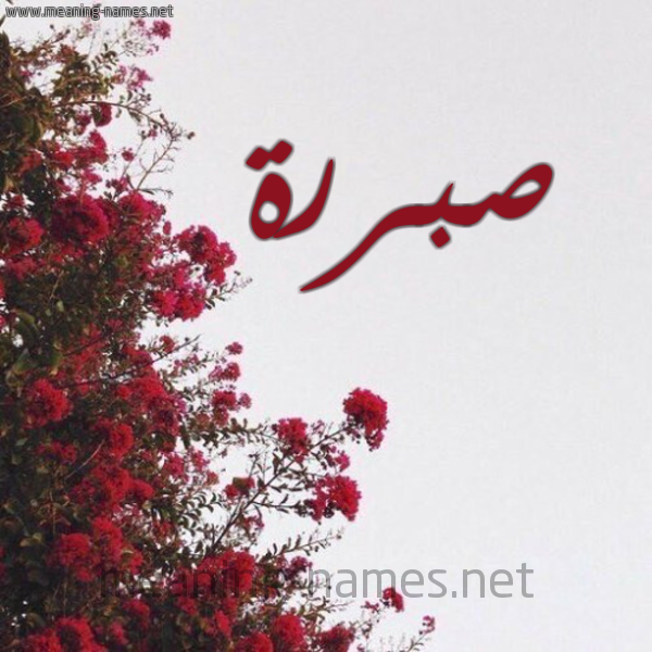 شكل 18 صوره الورد الأحمر للإسم بخط رقعة صورة اسم صبررة Sabra