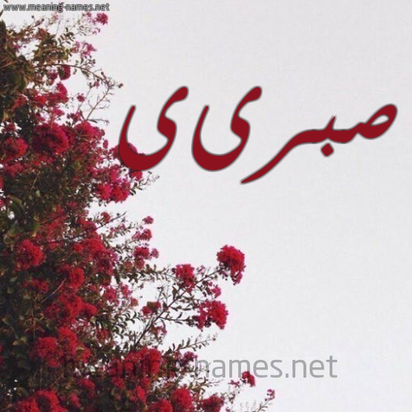 شكل 18 صوره الورد الأحمر للإسم بخط رقعة صورة اسم صبرىى sabrie