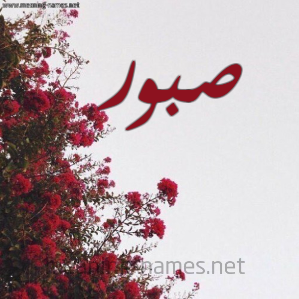 شكل 18 صوره الورد الأحمر للإسم بخط رقعة صورة اسم صبور Sbwr
