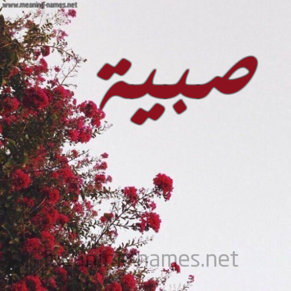 شكل 18 صوره الورد الأحمر للإسم بخط رقعة صورة اسم صبية Sbyh