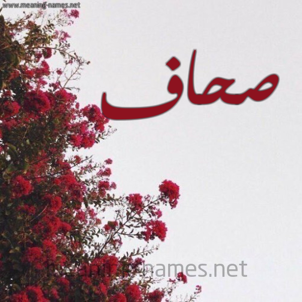 شكل 18 صوره الورد الأحمر للإسم بخط رقعة صورة اسم صحاف Shaf