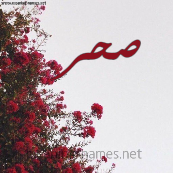 شكل 18 صوره الورد الأحمر للإسم بخط رقعة صورة اسم صحر SHR