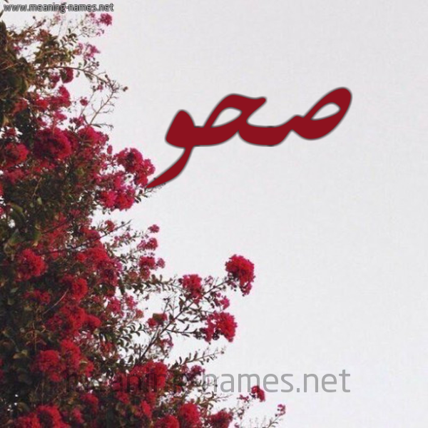 شكل 18 صوره الورد الأحمر للإسم بخط رقعة صورة اسم صحو Shw