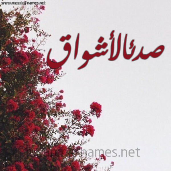 شكل 18 صوره الورد الأحمر للإسم بخط رقعة صورة اسم صدئالأشواق Sd'ial'ashwaq