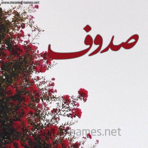 شكل 18 صوره الورد الأحمر للإسم بخط رقعة صورة اسم صدوف Sdwf