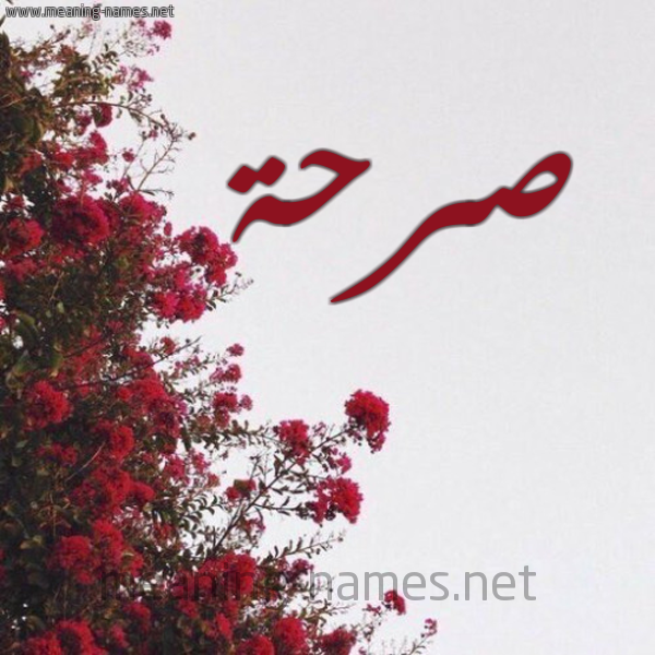 شكل 18 صوره الورد الأحمر للإسم بخط رقعة صورة اسم صرحة Srhh