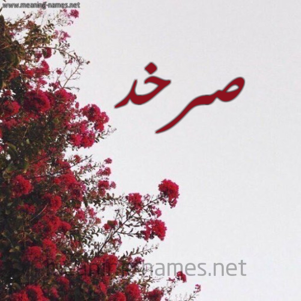 شكل 18 صوره الورد الأحمر للإسم بخط رقعة صورة اسم صرخد Srkhd