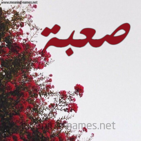 شكل 18 صوره الورد الأحمر للإسم بخط رقعة صورة اسم صعبة SABH