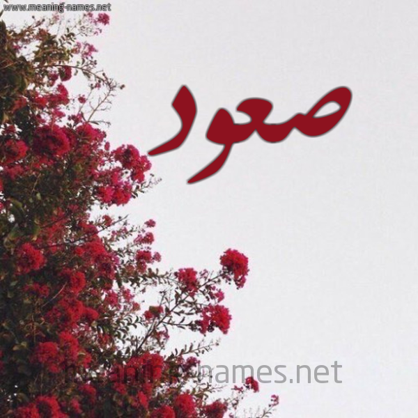 شكل 18 صوره الورد الأحمر للإسم بخط رقعة صورة اسم صعود صعُود-S'wd