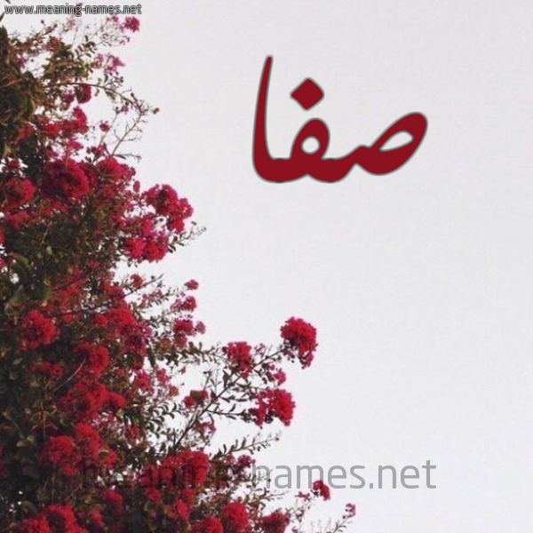 شكل 18 صوره الورد الأحمر للإسم بخط رقعة صورة اسم صفا Safa