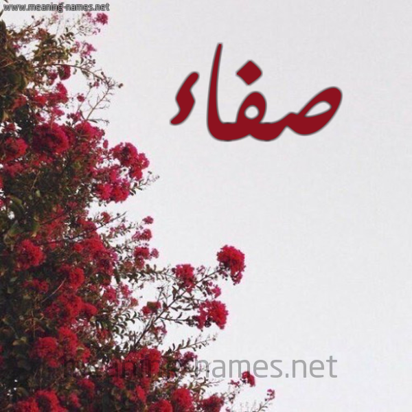 شكل 18 صوره الورد الأحمر للإسم بخط رقعة صورة اسم صفاء Sfaa