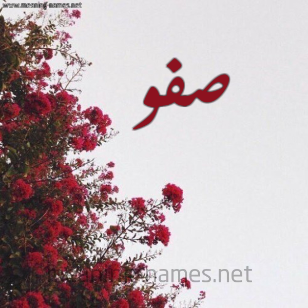 شكل 18 صوره الورد الأحمر للإسم بخط رقعة صورة اسم صفو Sfw