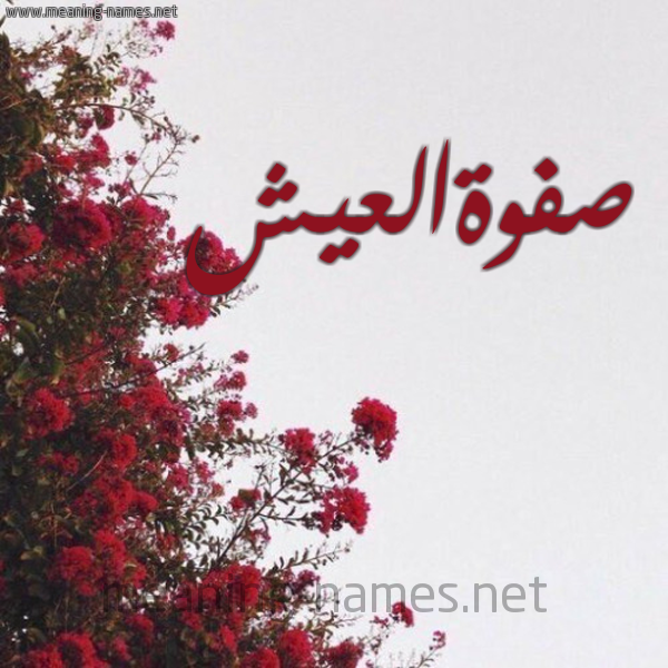 شكل 18 صوره الورد الأحمر للإسم بخط رقعة صورة اسم صفوةالعيش Sfwhal'ysh