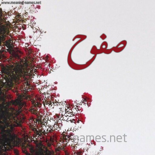 شكل 18 صوره الورد الأحمر للإسم بخط رقعة صورة اسم صفوح Sfwh