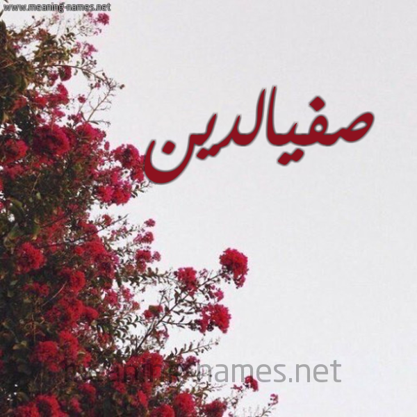 شكل 18 صوره الورد الأحمر للإسم بخط رقعة صورة اسم صفيالدين Sfyaldyn