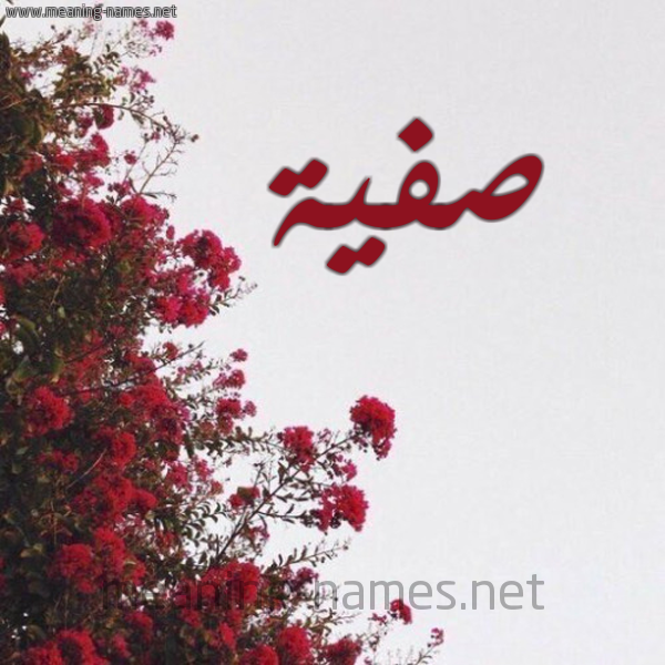 شكل 18 صوره الورد الأحمر للإسم بخط رقعة صورة اسم صفية Safia