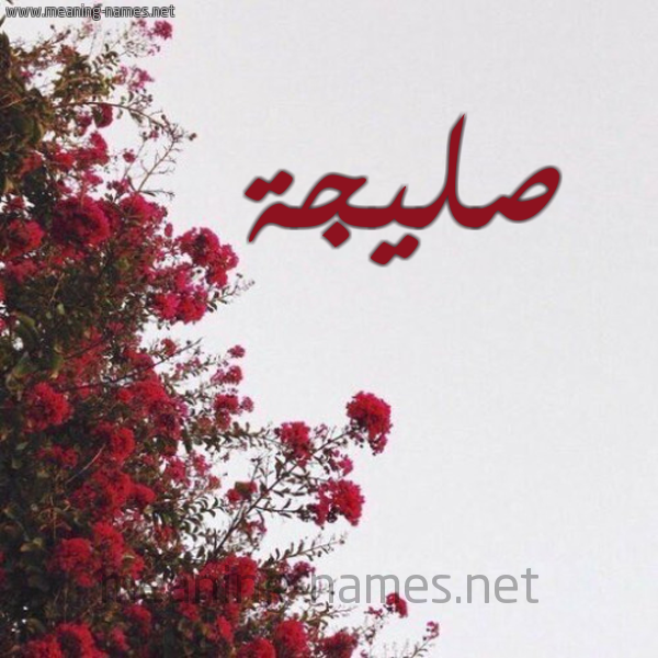 شكل 18 صوره الورد الأحمر للإسم بخط رقعة صورة اسم صليجة Slyjh