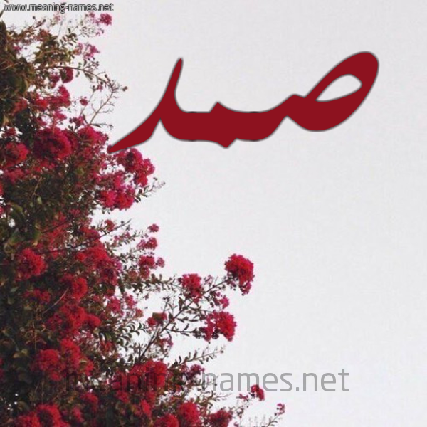 شكل 18 صوره الورد الأحمر للإسم بخط رقعة صورة اسم صمد SMD