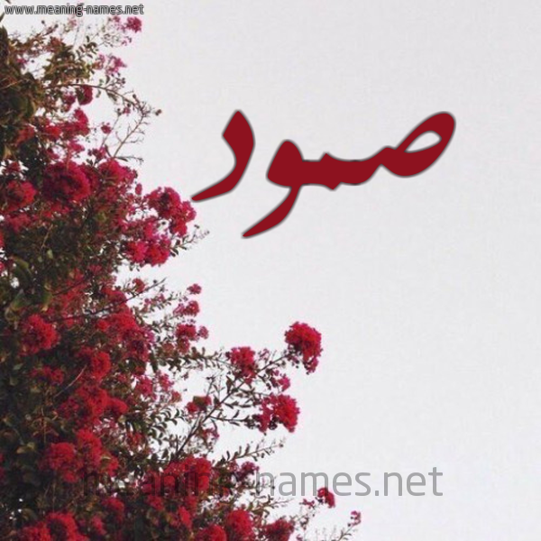 شكل 18 صوره الورد الأحمر للإسم بخط رقعة صورة اسم صمود Smod