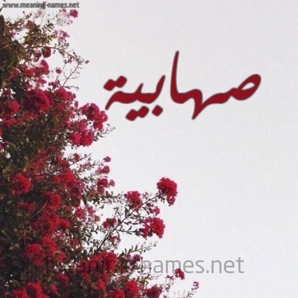 شكل 18 صوره الورد الأحمر للإسم بخط رقعة صورة اسم صهابية S'habyh
