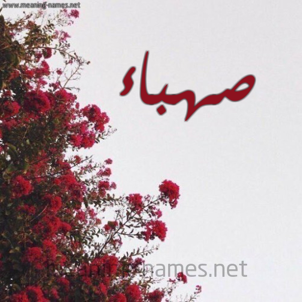 شكل 18 صوره الورد الأحمر للإسم بخط رقعة صورة اسم صهباء Sahbaa
