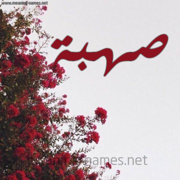 شكل 18 صوره الورد الأحمر للإسم بخط رقعة صورة اسم صهبة S'hbh