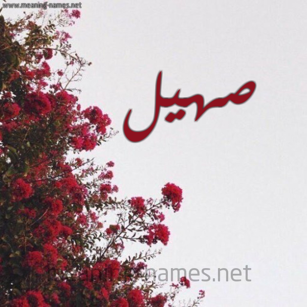 شكل 18 صوره الورد الأحمر للإسم بخط رقعة صورة اسم صهيل S'hyl