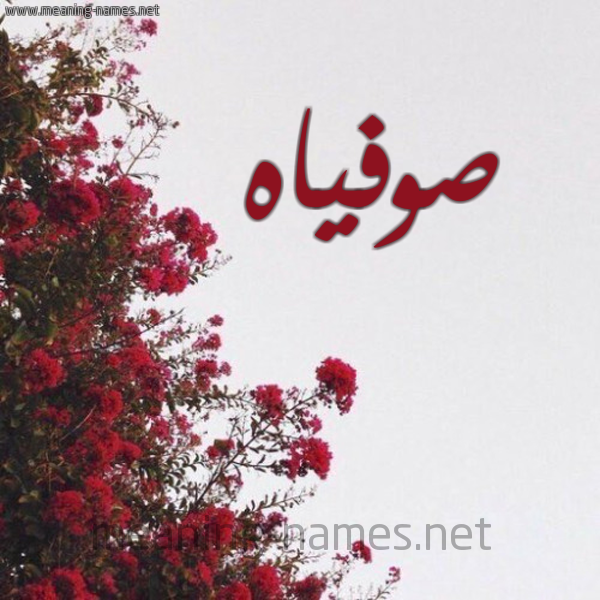 شكل 18 صوره الورد الأحمر للإسم بخط رقعة صورة اسم صوفياه sofiah