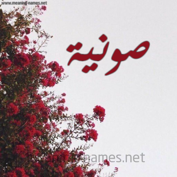 شكل 18 صوره الورد الأحمر للإسم بخط رقعة صورة اسم صونية SOUNIA