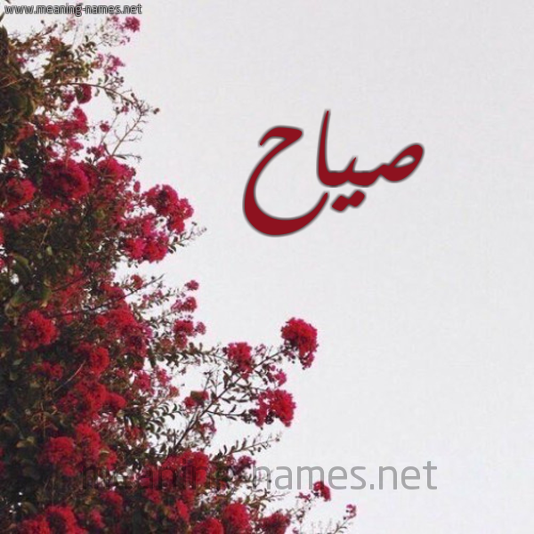 شكل 18 صوره الورد الأحمر للإسم بخط رقعة صورة اسم صياح SIAH