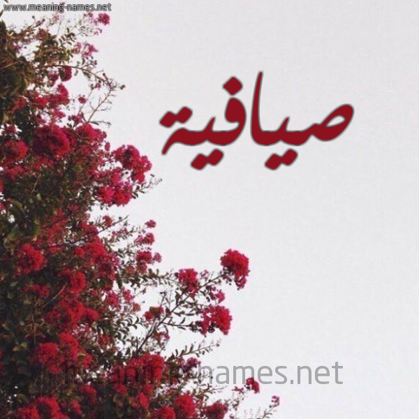 شكل 18 صوره الورد الأحمر للإسم بخط رقعة صورة اسم صيافية Safia