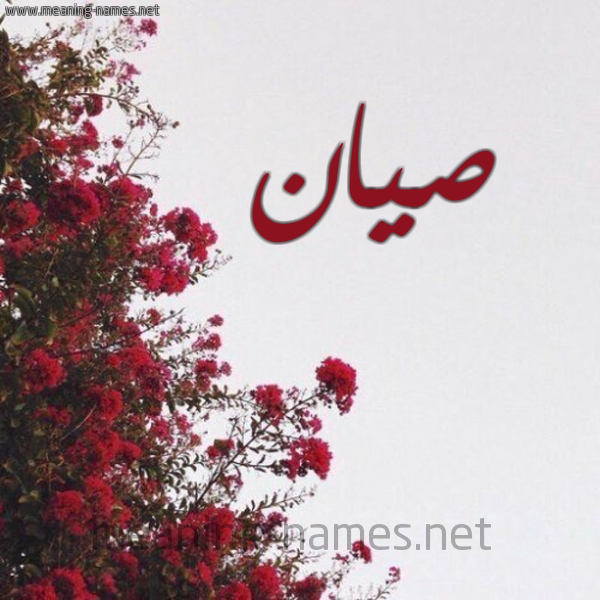 شكل 18 صوره الورد الأحمر للإسم بخط رقعة صورة اسم صيان syan