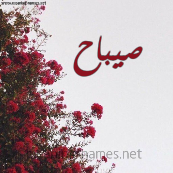 شكل 18 صوره الورد الأحمر للإسم بخط رقعة صورة اسم صيباح Sabah