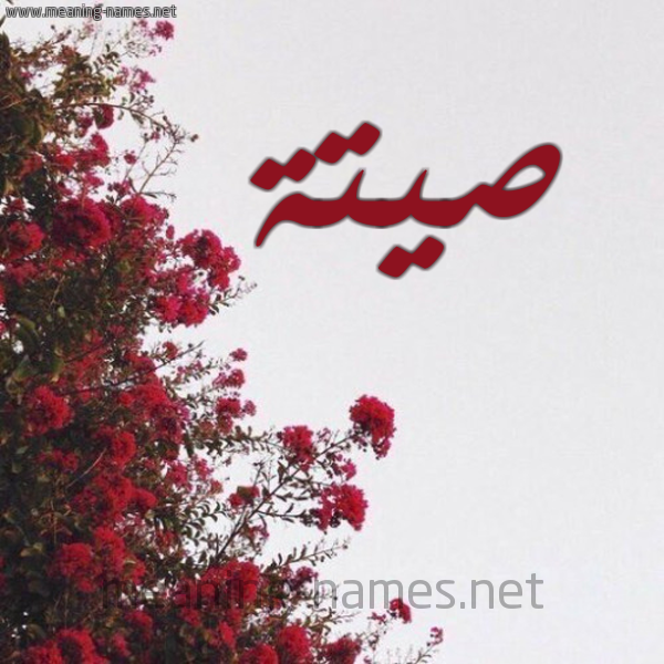شكل 18 صوره الورد الأحمر للإسم بخط رقعة صورة اسم صيتة Sita