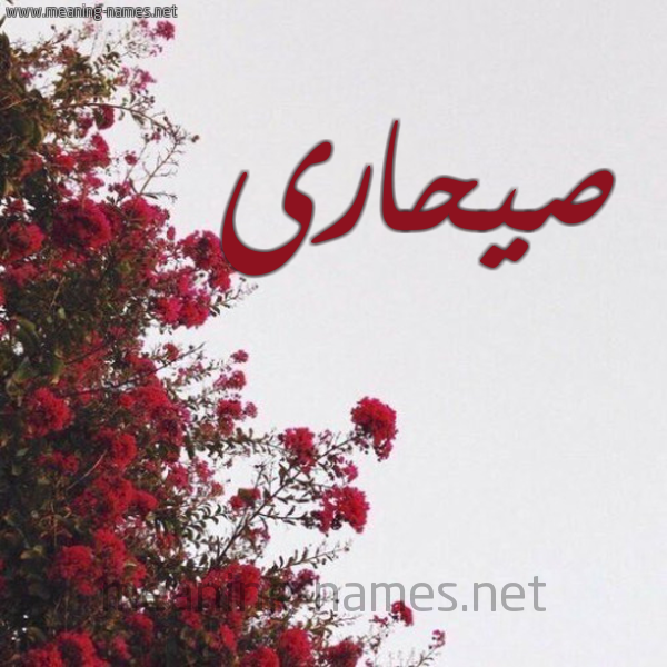 شكل 18 صوره الورد الأحمر للإسم بخط رقعة صورة اسم صيحارى Sahara