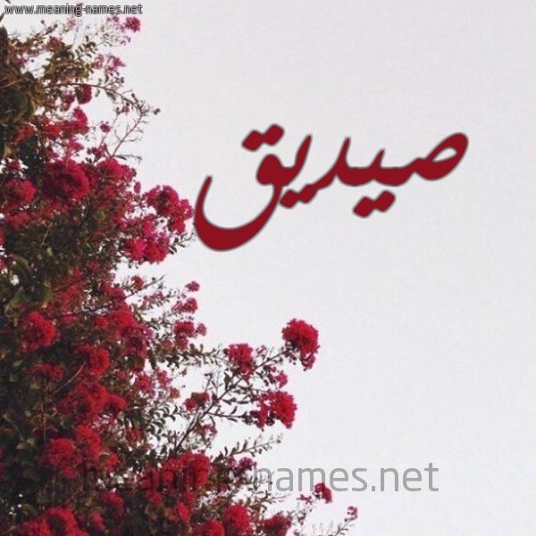 شكل 18 صوره الورد الأحمر للإسم بخط رقعة صورة اسم صيديق Sadiq