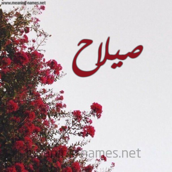 شكل 18 صوره الورد الأحمر للإسم بخط رقعة صورة اسم صيلاح Salah