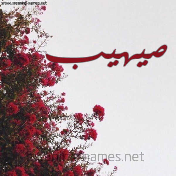 شكل 18 صوره الورد الأحمر للإسم بخط رقعة صورة اسم صيهيب Suhaib