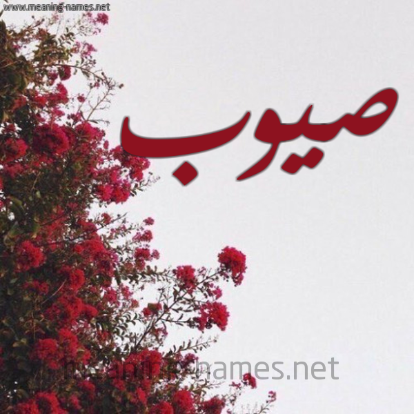 شكل 18 صوره الورد الأحمر للإسم بخط رقعة صورة اسم صيوب Sywb